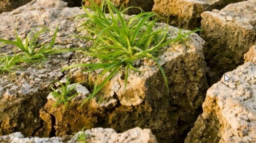 ESCWA Water Development Report 7