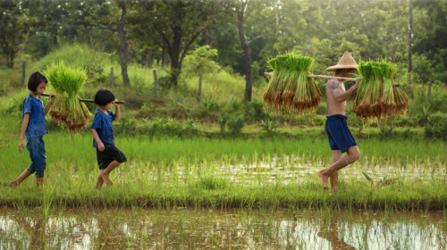 Advancing Sustainable Development in Practice