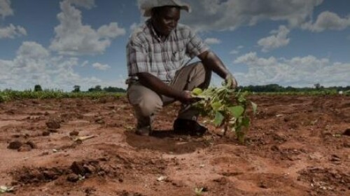 Making the Right Choices - Prioritizing Adaptation Options