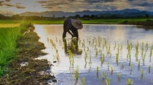 Climate Responsive Budgeting