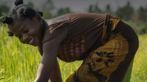 Sustainable Consumption and Production in Africa