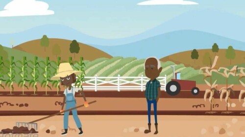 Clean the stream programme