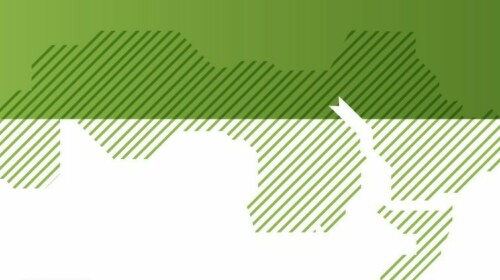 Climate Change and Adaptation Solutions for the Green Sectors in the Arab Region