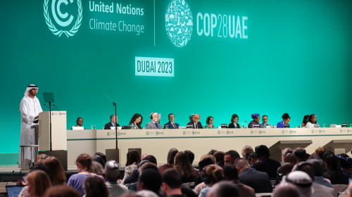 Mastering International Climate Negotiations: All You Need to Know