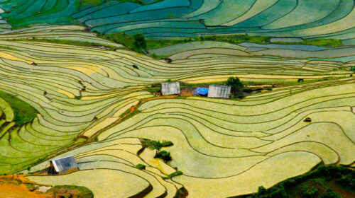 Transforming Our World