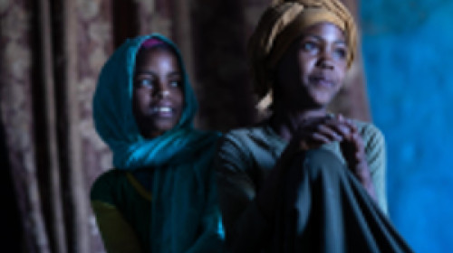 Harnessing the Power of Data to End Harmful Practices