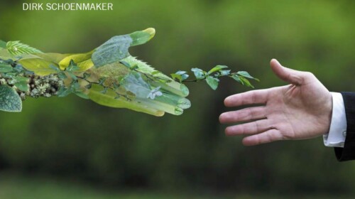 From Risk to Opportunity - A framework for sustainable finance