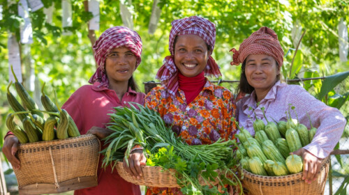 Minimum Dietary Diversity for Women (MDD-W)