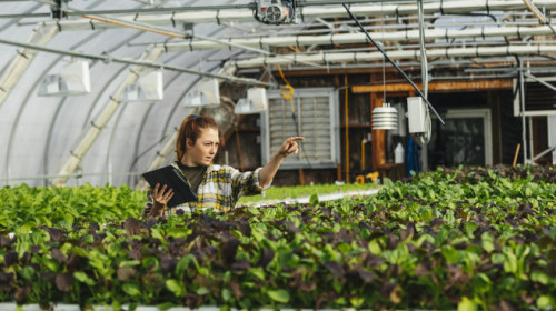 Developing Skills for Women Leadership in Climate Action