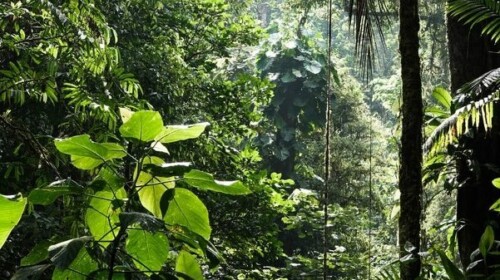 Environmental SDG Indicators