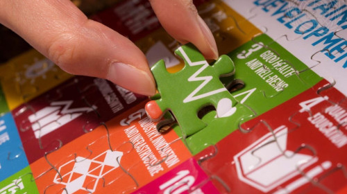 Initial preparation and organization of Voluntary National Reviews