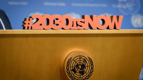 Voluntary National Review submission and post-VNR action