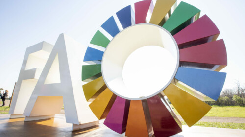 New needs and training modalities in the Covid-19 era