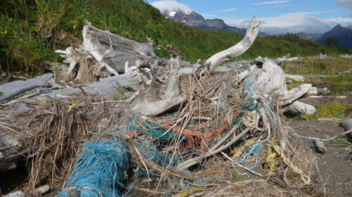 Fisheries and Aquaculture Statistics