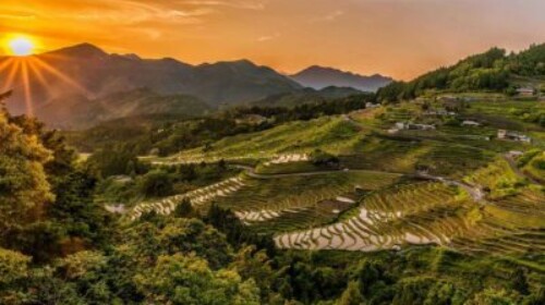 Feeding a Hungry Planet