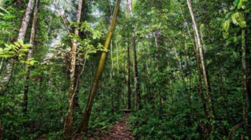 Managing and Preserving Our Terrestrial Ecosystems
