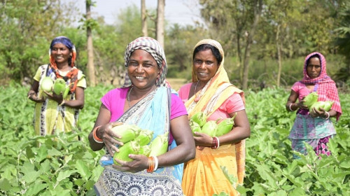 SDG Cases - Flying High