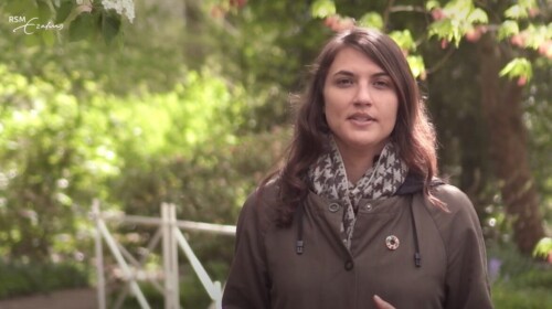 How can the Sustainable Development Goals help business?