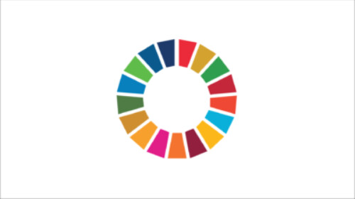 How to Achieve the SDGs
