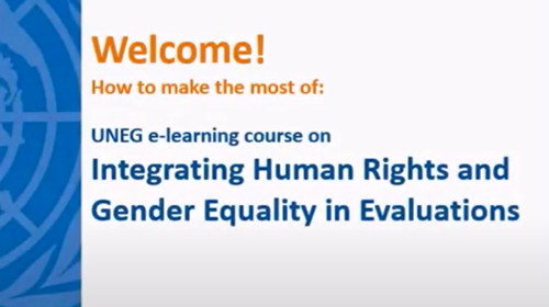 Integrating Human Rights and Gender Equality in Evaluations