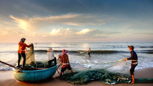 Introduction to Sustainable Development in Practice