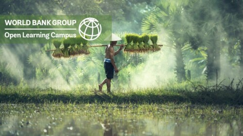 Global Environment Facility