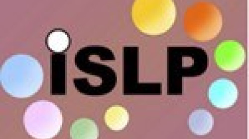 International competitions as a mean to promote statistical literacy globally