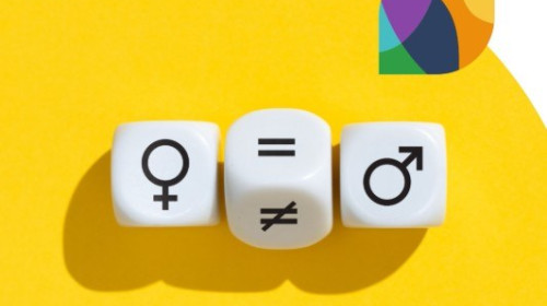 Mainstreaming Gender in the Training Cycle 