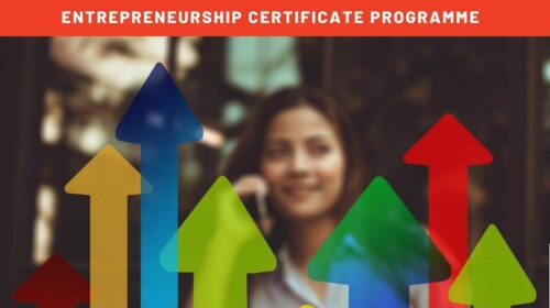 Determining a Business Model