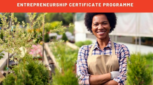 Deciding to become an entrepreneur