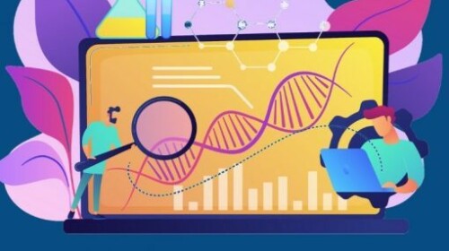 The 2030 Agenda and the emerging bioeconomy