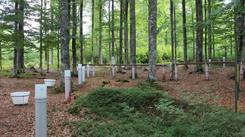 Monitoring Air Pollution Effects under the Convention