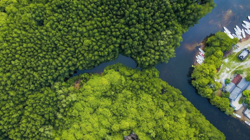 Nature-based Solutions