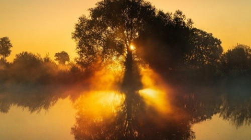 The Search for New Stories to Live By: Econarrative and Ethical Leadership