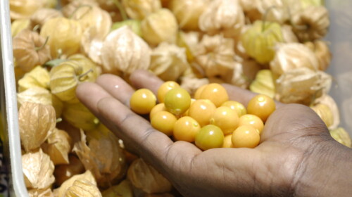 Quality Infrastructure and Trade