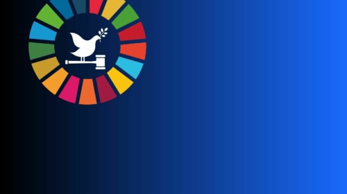 Regional Training on Measuring SDG 16 in Africa II