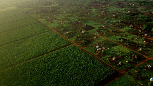 Scaling Impact for Sustainable Development