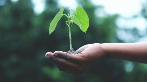 SDG Cases - Interface