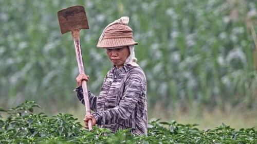 SDG Help Desk's Story Telling