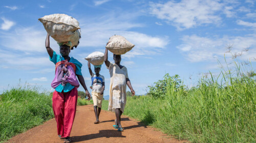 SDG Indicators 2.3.1 and 2.3.2