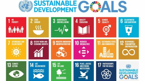 Data integration through SAE for SDGs 2.3.1 and 2.3.2