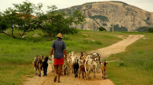 SDG Cases - SISAR Model for Brazil Rural Water Supply