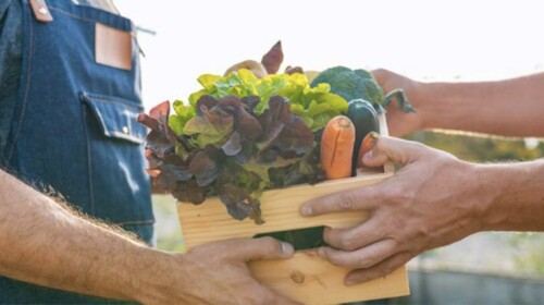 Sustainable Lifestyles