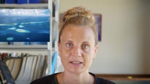 World Bank monetary poverty measurement