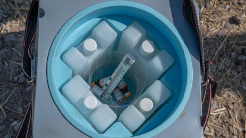 Temperature Monitoring in the Vaccine Cold Chain