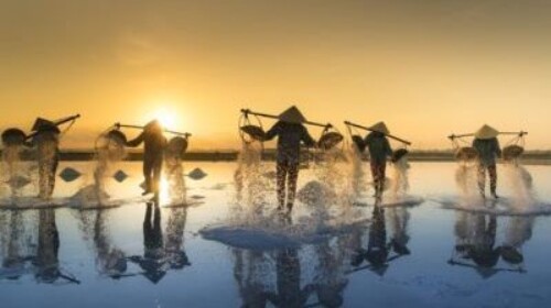 Water: Addressing the Global Crisis