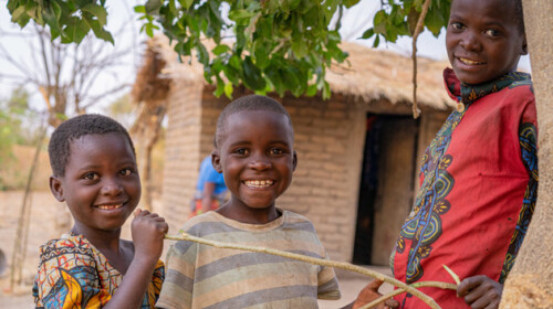 Qualitative Data Analysis