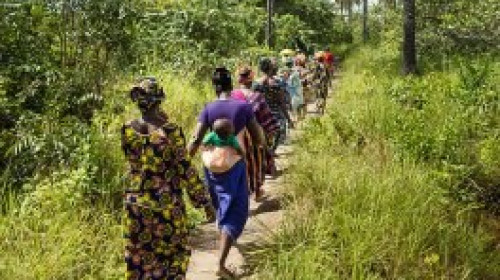 Gender equality pathway